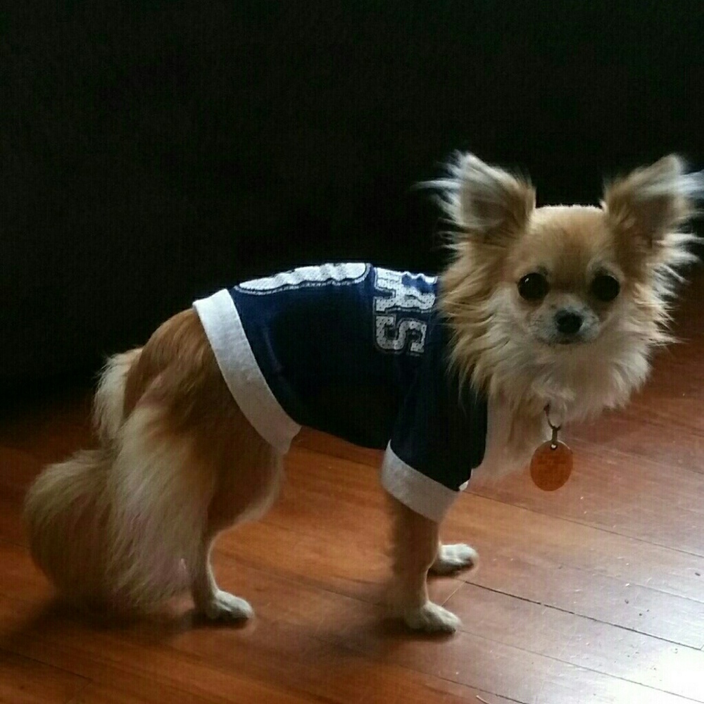 How 'bout them cowboys!
